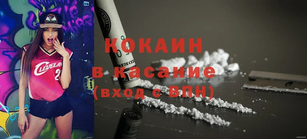 трава Пересвет