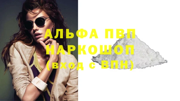 трава Пересвет