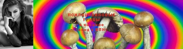 MDMA Пестово