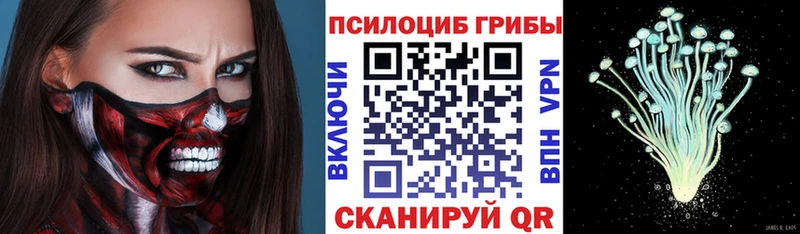 Галлюциногенные грибы Cubensis площадка состав Ветлуга где продают